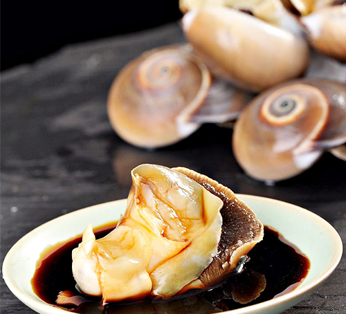 1770193381328911.jpg 玉螺1.jpg